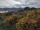 Cap Calstell de Vello